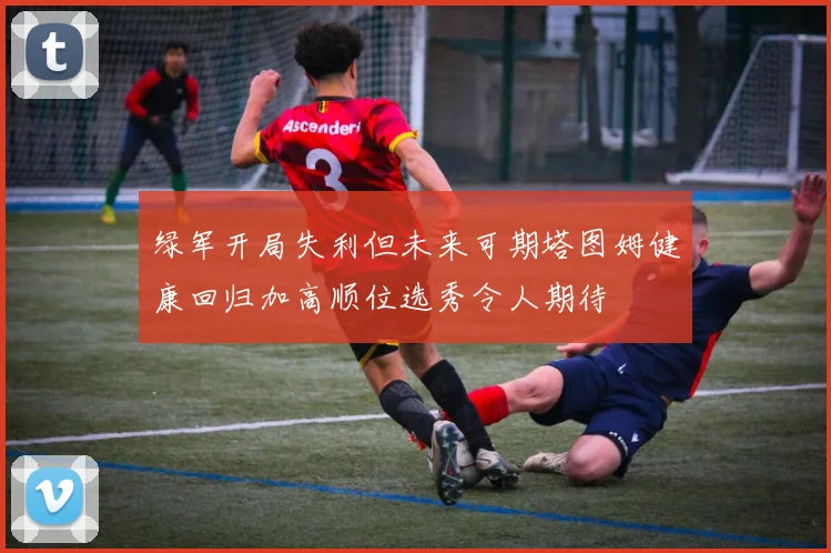 绿军开局失利但未来可期塔图姆健康回归加高顺位选秀令人期待