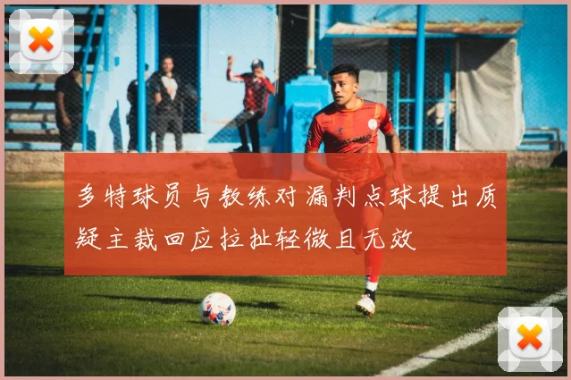 多特球员与教练对漏判点球提出质疑主裁回应拉扯轻微且无效