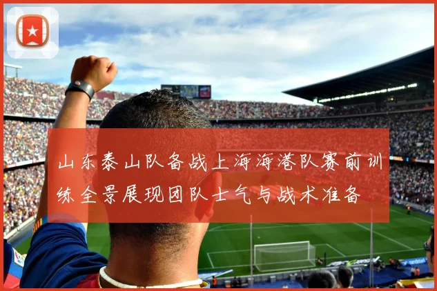 山东泰山队备战上海海港队赛前训练全景展现团队士气与战术准备