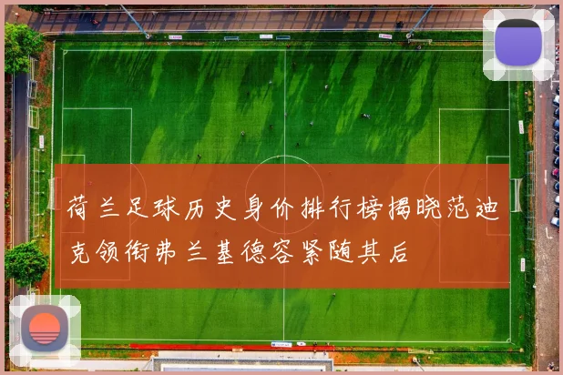 荷兰足球历史身价排行榜揭晓范迪克领衔弗兰基德容紧随其后