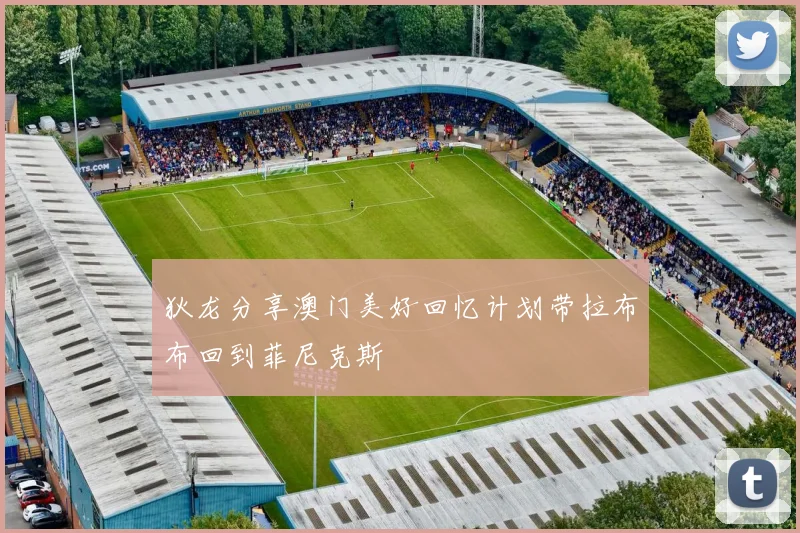 狄龙分享澳门美好回忆计划带拉布布回到菲尼克斯