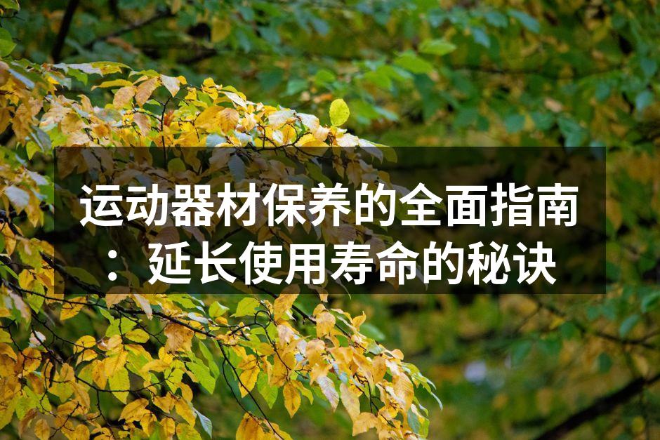定期清洁运动器材尤为重要