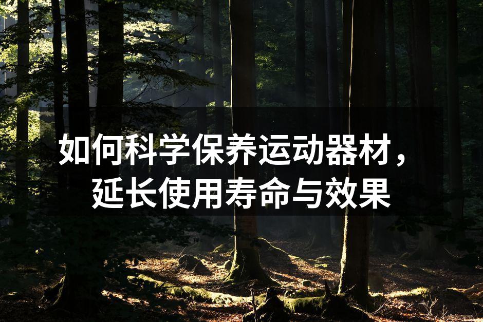 运动器材保养示例