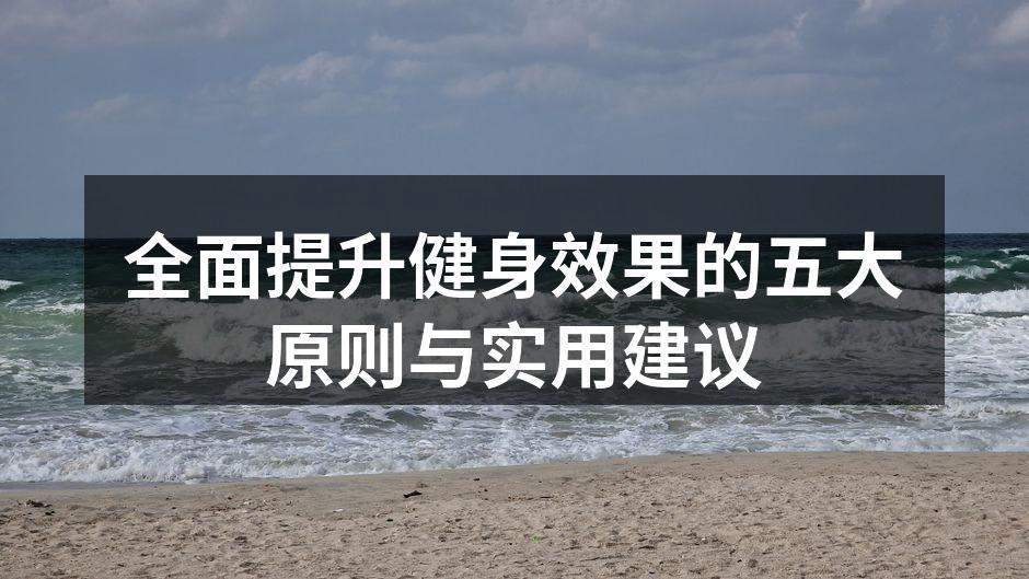 多样健身器材帮助提升训练效果